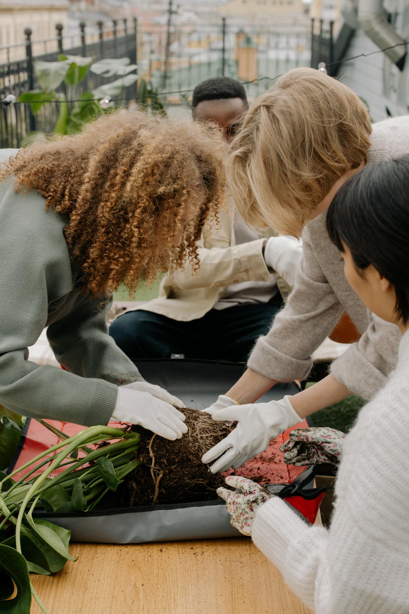 People working together on a community gardening project