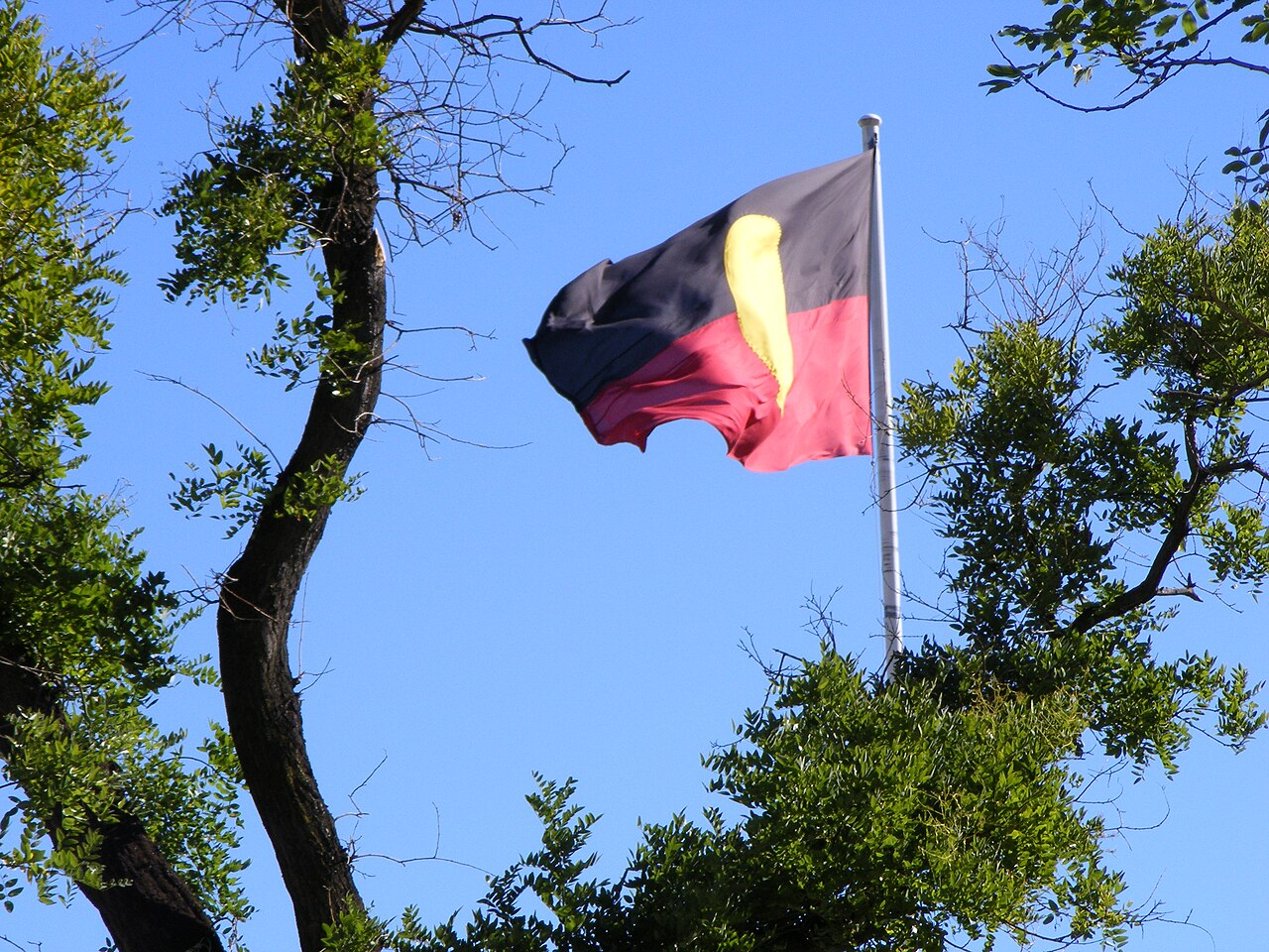 NAIDOC Week Begins with Fifty Years in View