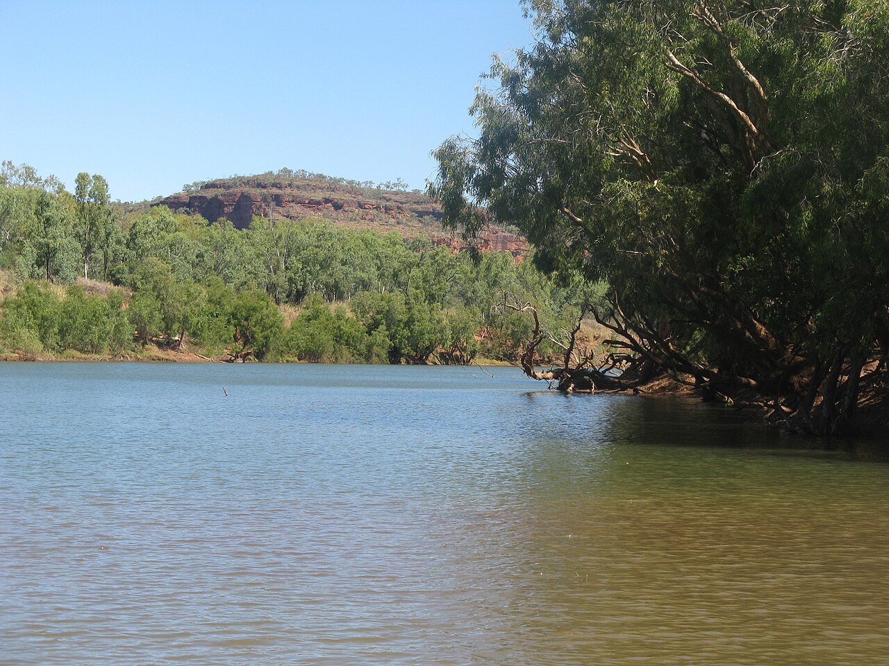 A Gurindji story enters Australia’s everyday change