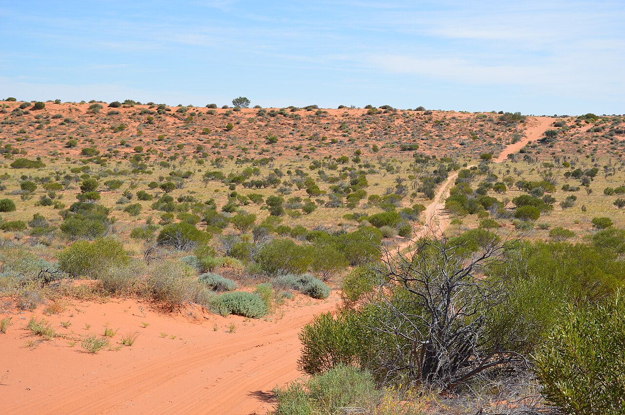 A vast Simpson Desert area joins the protected landscape