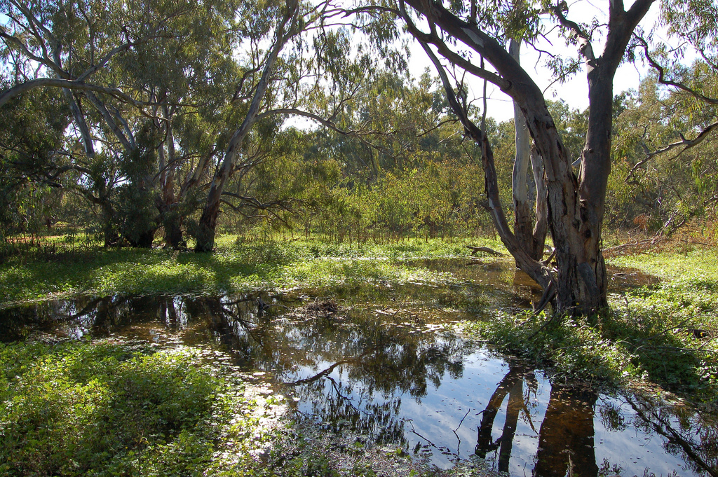 Culture grants support local ideas across NSW