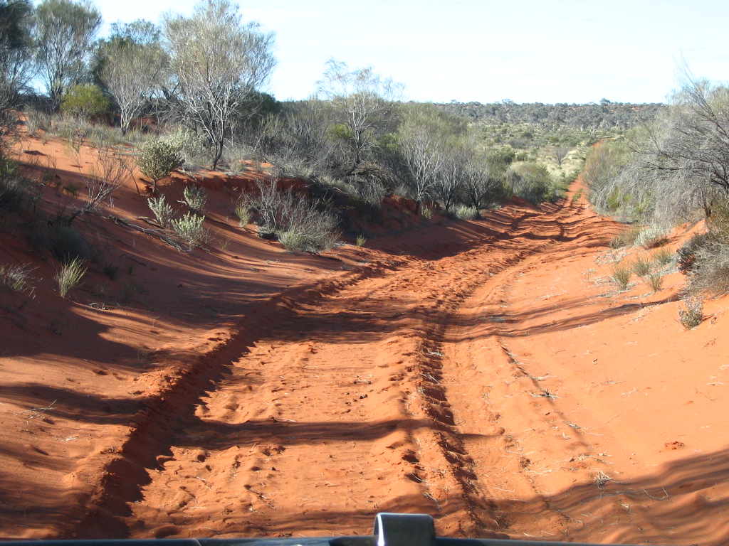 Spinifex Rangers care for waterholes and desert Country