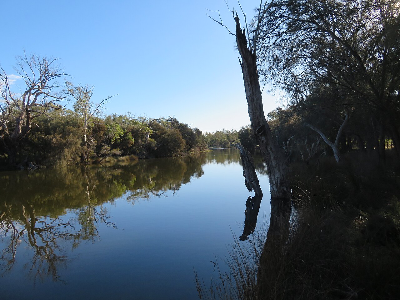 Perth Hills Rangers connect river care with local knowledge
