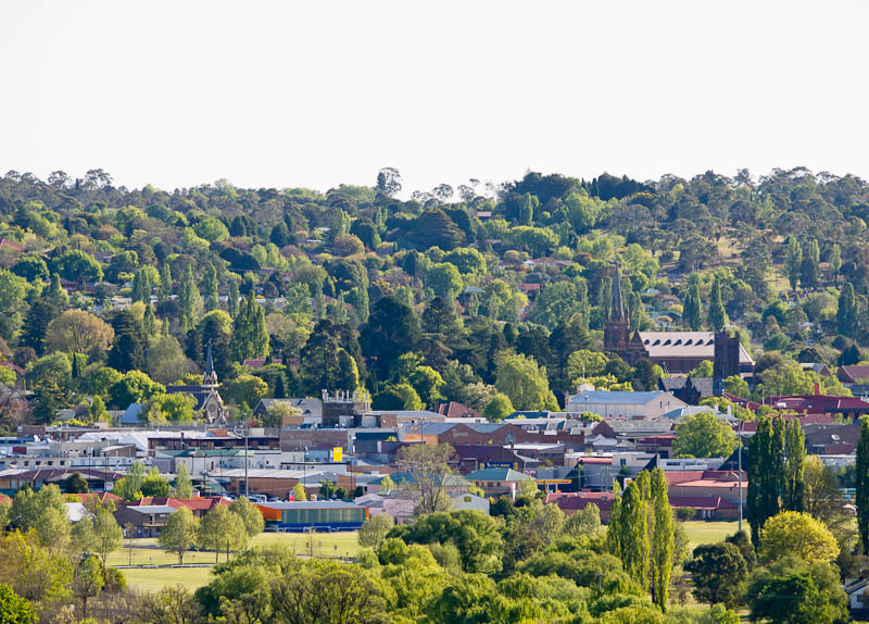 Living languages bring communities together across NSW